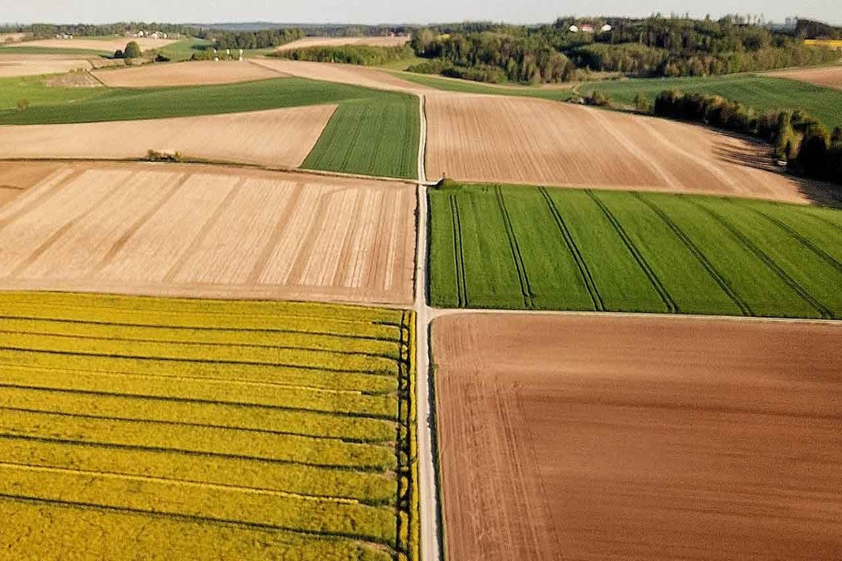 Georreferenciación de parcela en Granada